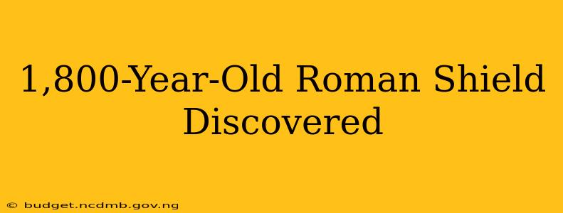 1,800-Year-Old Roman Shield Discovered