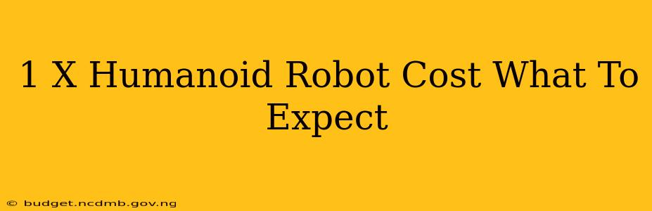 1 X Humanoid Robot Cost What To Expect