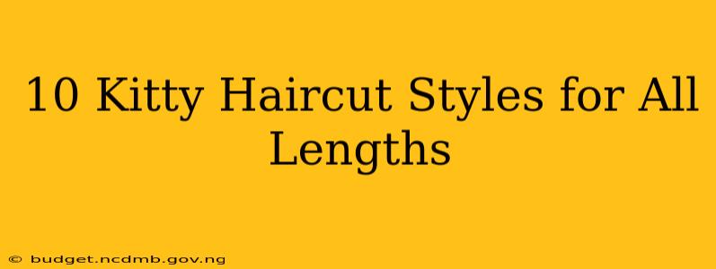 10 Kitty Haircut Styles for All Lengths