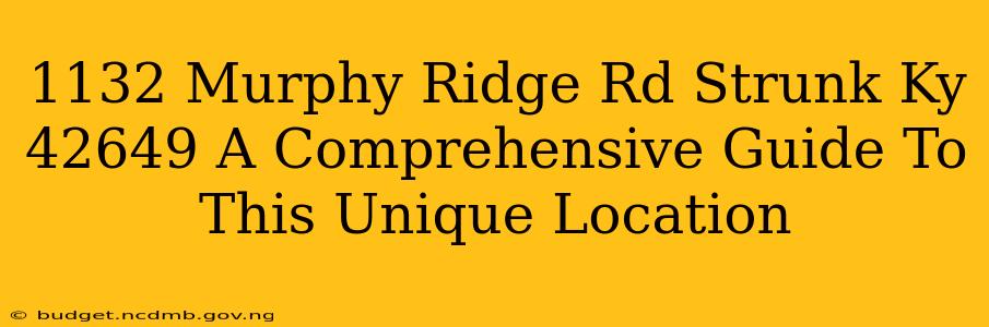 1132 Murphy Ridge Rd Strunk Ky 42649 A Comprehensive Guide To This Unique Location