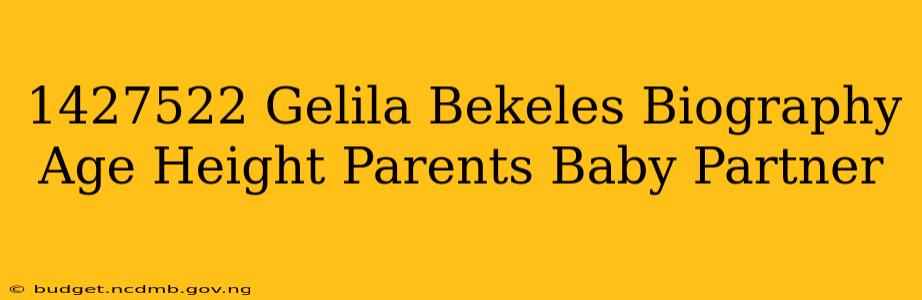1427522 Gelila Bekeles Biography Age Height Parents Baby Partner