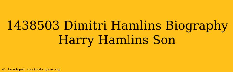 1438503 Dimitri Hamlins Biography Harry Hamlins Son