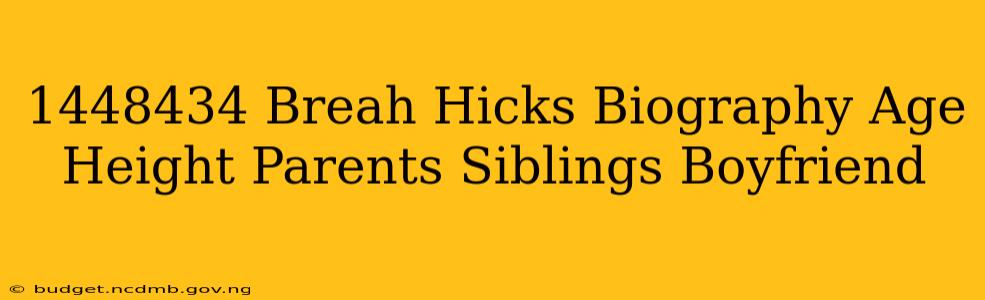 1448434 Breah Hicks Biography Age Height Parents Siblings Boyfriend