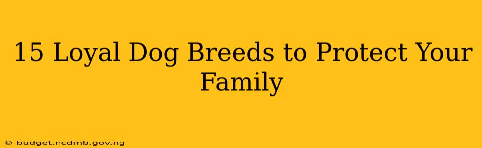 15 Loyal Dog Breeds to Protect Your Family