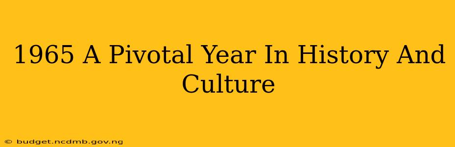 1965 A Pivotal Year In History And Culture