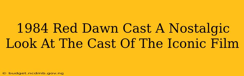 1984 Red Dawn Cast A Nostalgic Look At The Cast Of The Iconic Film