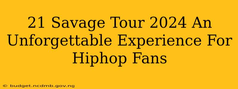 21 Savage Tour 2024 An Unforgettable Experience For Hiphop Fans