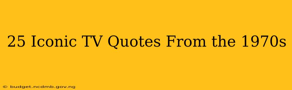25 Iconic TV Quotes From the 1970s