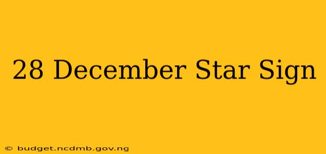 28 December Star Sign