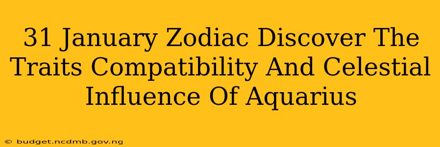 31 January Zodiac Discover The Traits Compatibility And Celestial Influence Of Aquarius