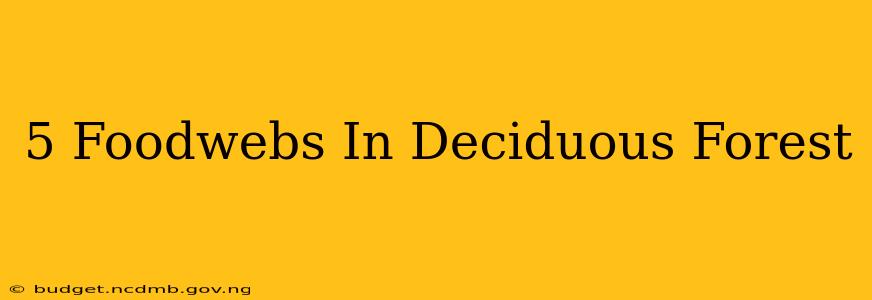 5 Foodwebs In Deciduous Forest