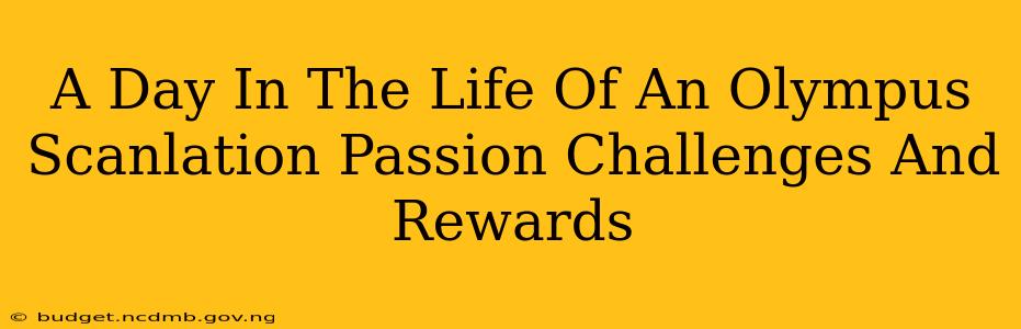 A Day In The Life Of An Olympus Scanlation Passion Challenges And Rewards