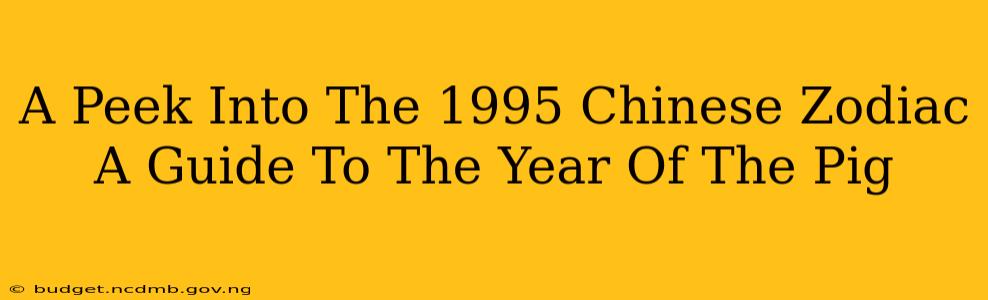 A Peek Into The 1995 Chinese Zodiac A Guide To The Year Of The Pig