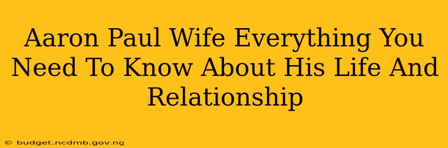 Aaron Paul Wife Everything You Need To Know About His Life And Relationship