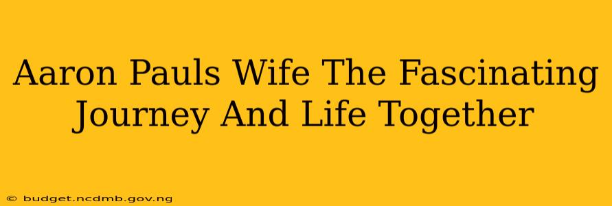 Aaron Pauls Wife The Fascinating Journey And Life Together
