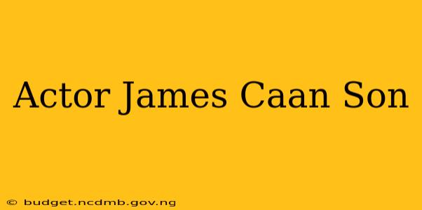 Actor James Caan Son