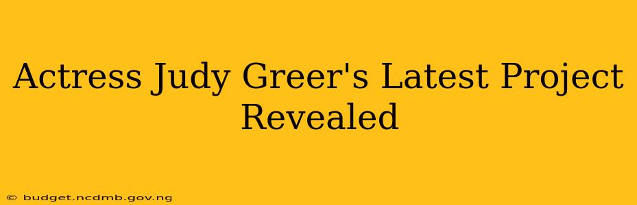 Actress Judy Greer's Latest Project Revealed