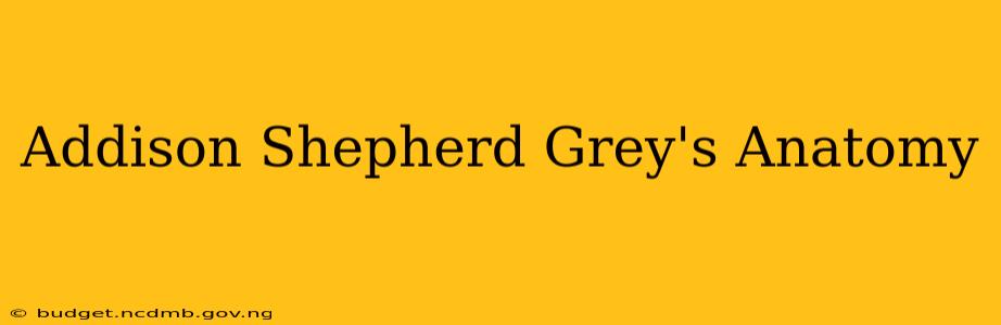 Addison Shepherd Grey's Anatomy