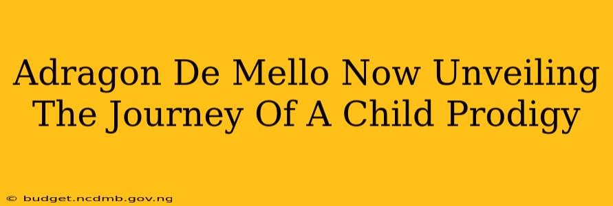 Adragon De Mello Now Unveiling The Journey Of A Child Prodigy