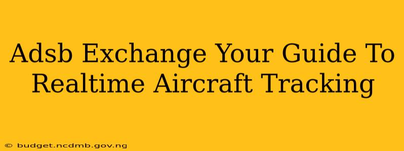 Adsb Exchange Your Guide To Realtime Aircraft Tracking