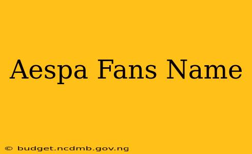 Aespa Fans Name