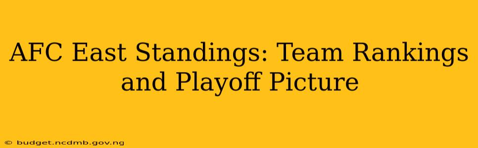 AFC East Standings: Team Rankings and Playoff Picture