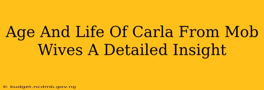 Age And Life Of Carla From Mob Wives A Detailed Insight