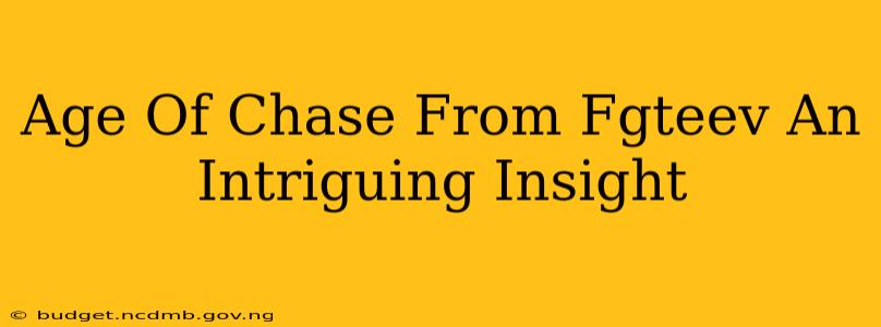 Age Of Chase From Fgteev An Intriguing Insight