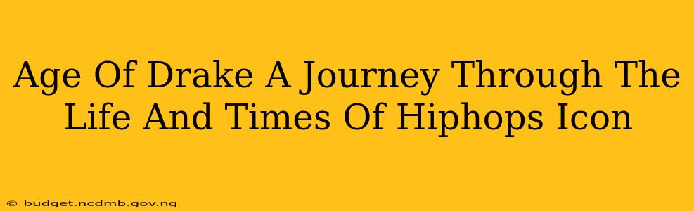 Age Of Drake A Journey Through The Life And Times Of Hiphops Icon