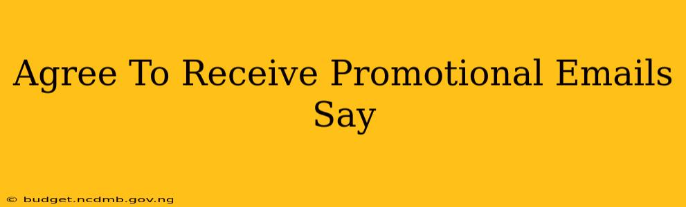 Agree To Receive Promotional Emails Say