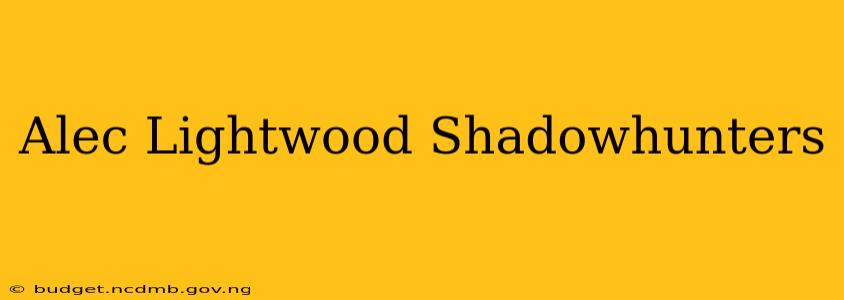 Alec Lightwood Shadowhunters