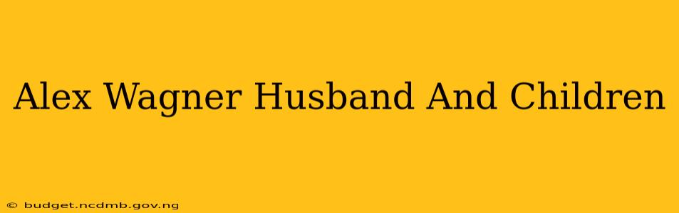 Alex Wagner Husband And Children