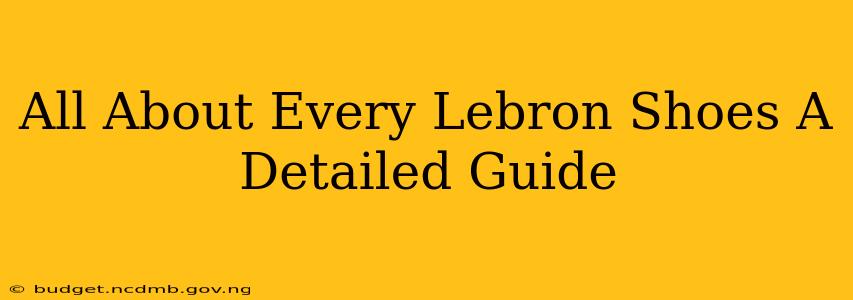 All About Every Lebron Shoes A Detailed Guide