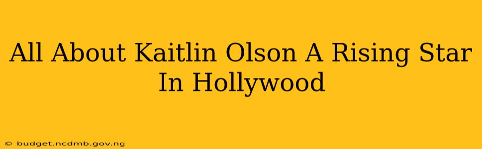 All About Kaitlin Olson A Rising Star In Hollywood