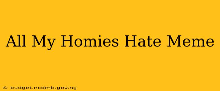 All My Homies Hate Meme