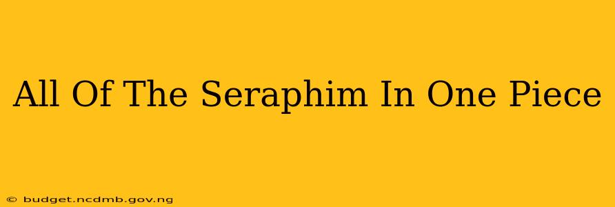 All Of The Seraphim In One Piece