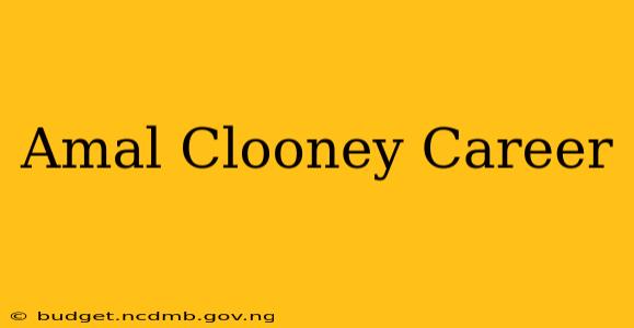 Amal Clooney Career