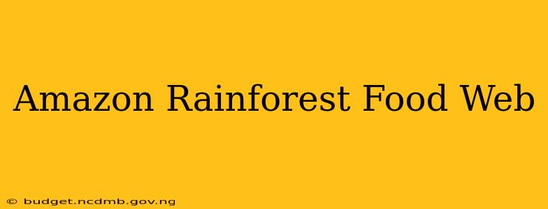 Amazon Rainforest Food Web