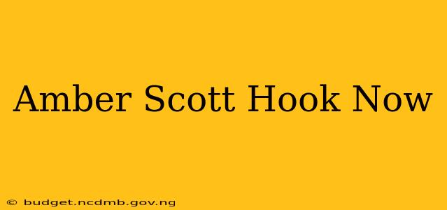 Amber Scott Hook Now