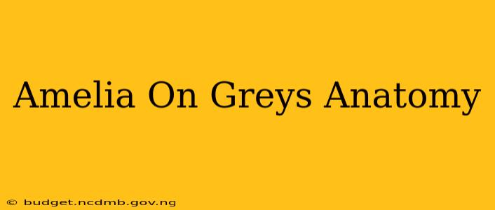 Amelia On Greys Anatomy