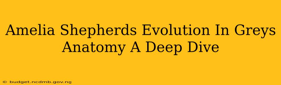 Amelia Shepherds Evolution In Greys Anatomy A Deep Dive