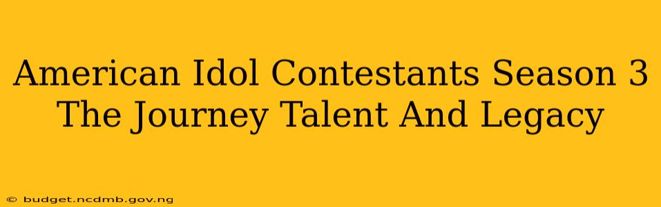 American Idol Contestants Season 3 The Journey Talent And Legacy