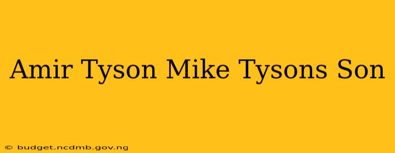 Amir Tyson Mike Tysons Son