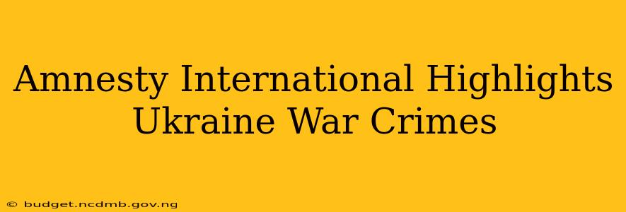 Amnesty International Highlights Ukraine War Crimes