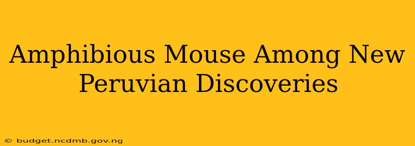 Amphibious Mouse Among New Peruvian Discoveries