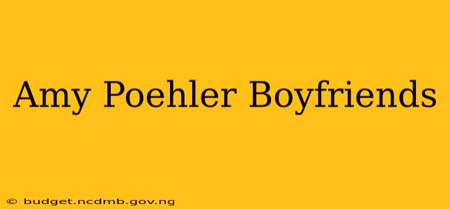 Amy Poehler Boyfriends