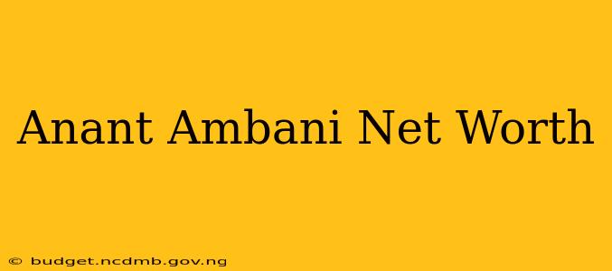 Anant Ambani Net Worth