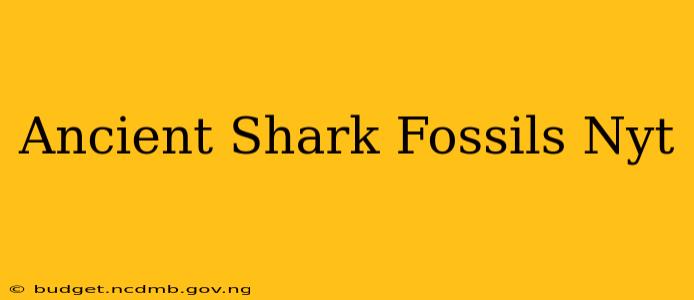 Ancient Shark Fossils Nyt
