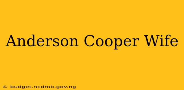 Anderson Cooper Wife