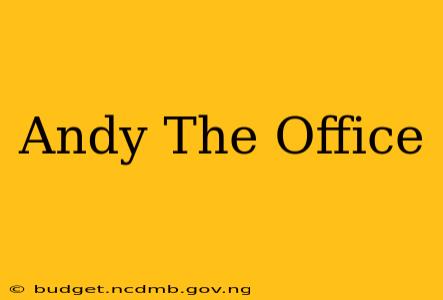 Andy The Office